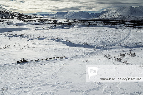 Richie Diehl on the trail in the Alaska Range in Ptarmigan Valley on the way to Rohn from the Rainy Pass checkpoint during Iditarod 2016 Alaska.