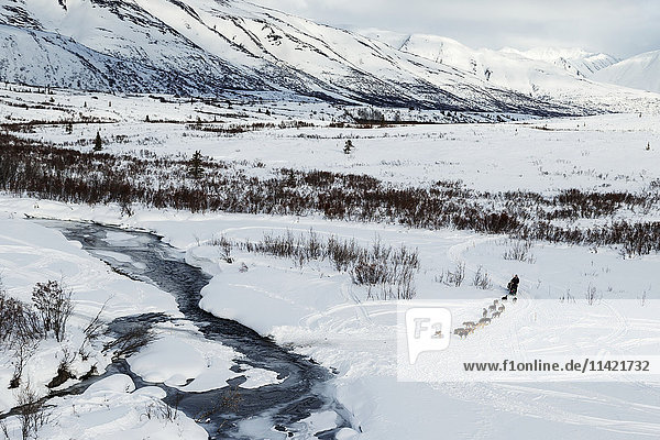 Musher Richie Diehl nähert sich der Überquerung des Happy Rivers auf dem Trail in der Alaska Range im Ptarmigan Valley auf dem Weg nach Rohn vom Rainy Pass Checkpoint während des Iditarod 2016  Alaska.