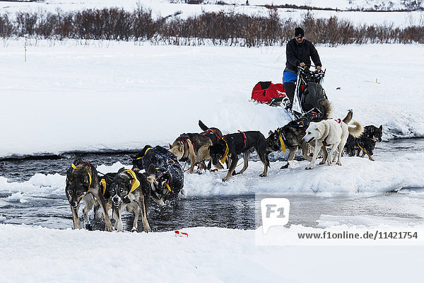 John Baker crosses the open water of the Happy River in Ptarmigan Valley on the way to Rohn from the Rainy Pass checkpoint during Iditarod 2016  Alaska.