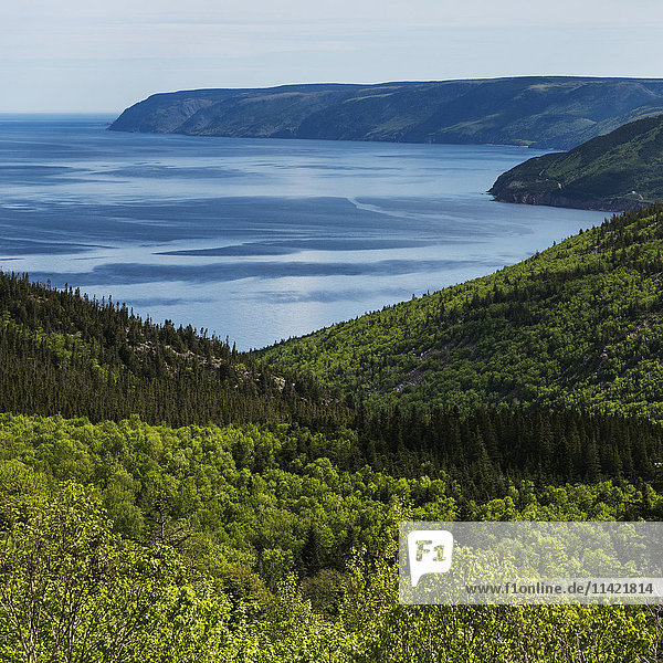 Üppige Wälder entlang der Küstenlinie; Pleasant Bay  Nova Scotia  Kanada