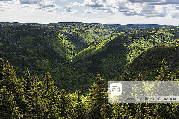 Wälder und grünes Laub in der bergigen Landschaft von Cape Breton Island; Pleasant Bay  Nova Scotia  Kanada