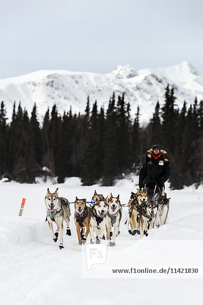 Allen Moore runs on the trail arriving at the Finger Lake checkpoint during the 2016 Iditarod  Alaska.