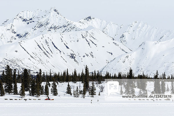 Mitch Seavey führt Rick Casillo am Puntilla Lake am Rainy Pass Checkpoint während des Iditarod 2016  Alaska.