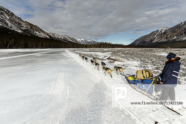 Melissa Owens-Stewart on the trail on the South Fork of the Kuskokwim River after leaving the Rohn checkpoint during Iditarod 2016  Alaska.