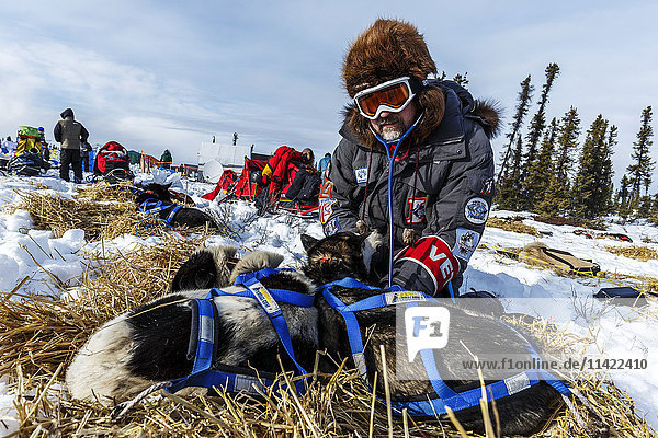 Der freiwillige Tierarzt Lee Morgan untersucht einen Hund von Hugh Neff am Nachmittag des 10. März am Cripple-Checkpoint während des Iditarod 2016 in Alaska.