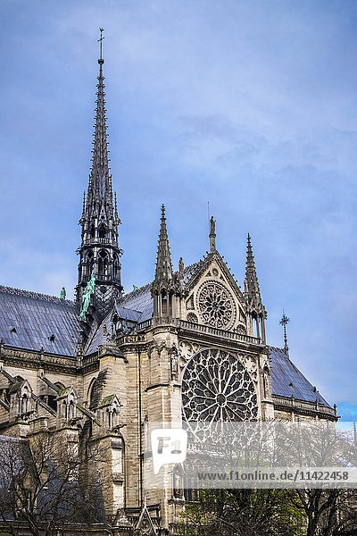 Notre Dame de Paris; Paris  Frankreich .