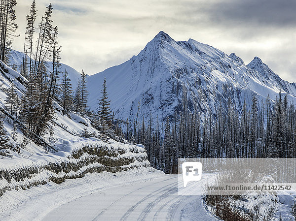 'Snow covered road and rugged mountains peaks in Jasper National Park; Alberta  Canada'