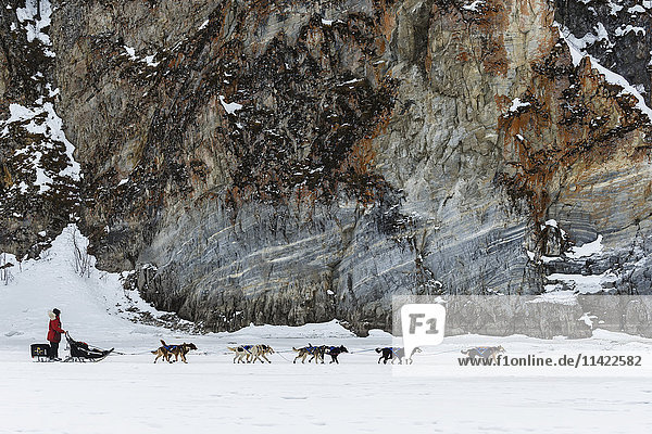 Hugh Neff runs past the rock cliffs on the Yukon River shortly after leaving the Ruby Checkpoint during the 2016 Iditarod  Alaska