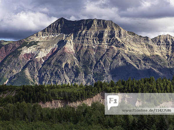 'Rugged mountains and forested landscape  Waterton Lakes National Park; Alberta  Canada'