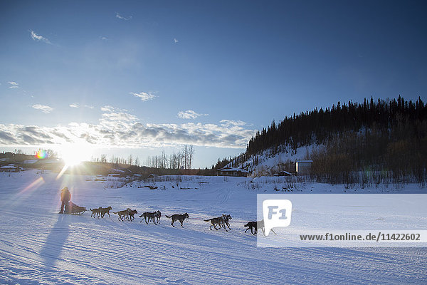 Kristy Berington läuft bei Sonnenaufgang den Yukon River hinunter  als sie den Ruby Checkpoint während des Iditarod 2016 in Alaska verlässt.
