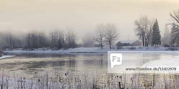 'Soft golden sky and a tranquil lake at sunrise in winter; Prince George  British Columbia  Canada'