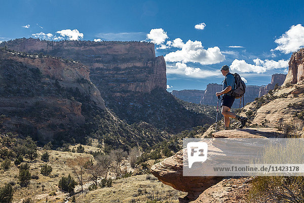 'A male hiker enjoys a sunny view of the Colorado National Monument; Colorado  United States of America'