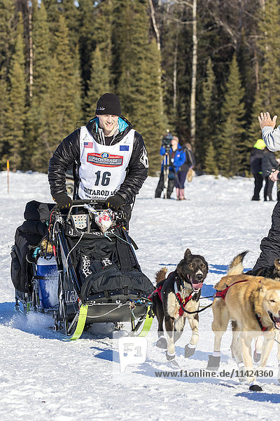 View of Dallas Seavey at the start of the 2016 Iditarod Dog Sled Race on Willow Lake  Alaska  USA  Winter.