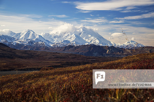 Blick auf Denali vom Thorofare Ridge Trail  Denali National Park; Alaska  Vereinigte Staaten von Amerika'.