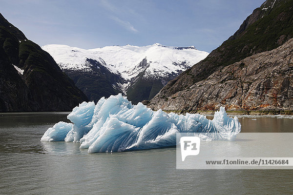 Eisberg im Tracy Arm  Südost-Alaska; Alaska  Vereinigte Staaten von Amerika'.