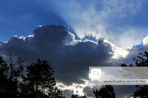 Dramatischer wolkenverhangener Himmel im Gegenlicht mit Sonnenstrahlen  die durch die Öffnung scheinen; Waterton  Alberta  Kanada'.
