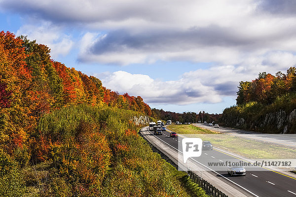 Herbstlich gefärbter Wald entlang der Autoroute 10  Eastern Townships; South Stukely  Quebec  Kanada'.