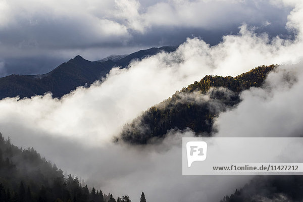 'Clouds in the forested valleys between Mestia and Ushguli  Upper Svaneti; Samegrelo-Zemo Svaneti  Georgia'