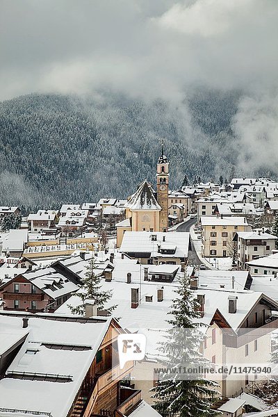 Snowy day in Sappada  Belluno province  Veneto region  Italy. Dolomites.