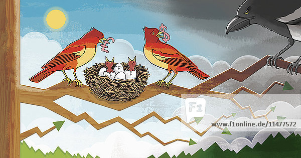 Vögel füttern ihre Küken mit Geld und verteidigen ihr Nest gegen Angreifer