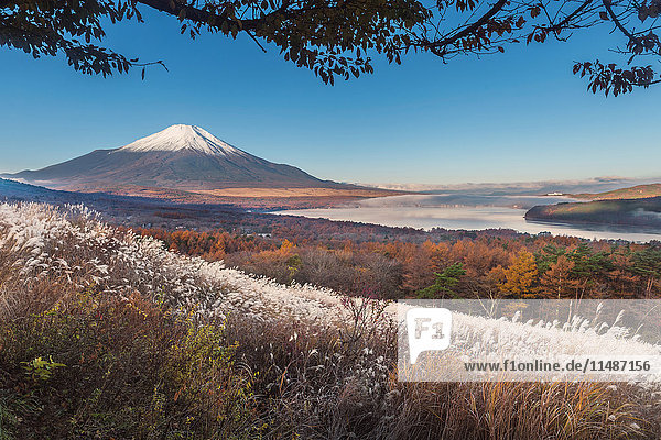 Morgenlicht beleuchtet den Berg Fuji und den Yamanaka-See mit Herbstblättern  Präfektur Yamanashi  Japan