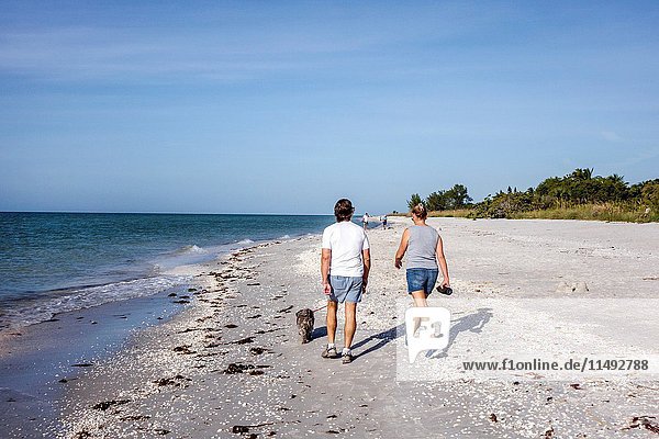 Florida  Sanibel Island  beach  Gulf of Mexico  couple  man  woman  beachcombers  dog  shelling shell hunters