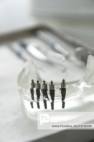 False teeth in dental laboratory
