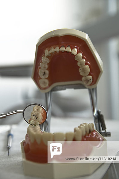 Falsche Zähne in einem Dentallabor
