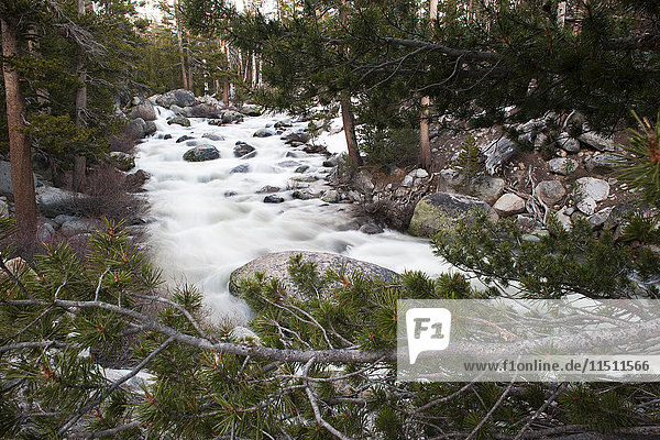 Über Felsen fließender Bach  Yosemite National Park  Kalifornien  USA