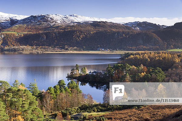 Woodland around Brandlehow Derwent Water Cumbria England United Kingdom Europe