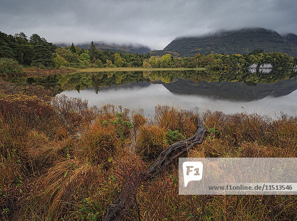 Muckross Lake  Killatney National Park  Grafschaft Kerry  Munster  Republik Irland  Europa