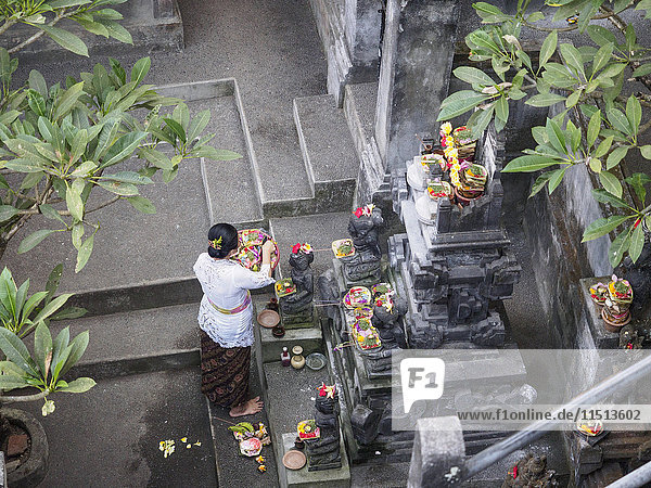 Woman giving offerings at a shrine  Ubud  Bali  Indonesia  Southeast Asia  Asia