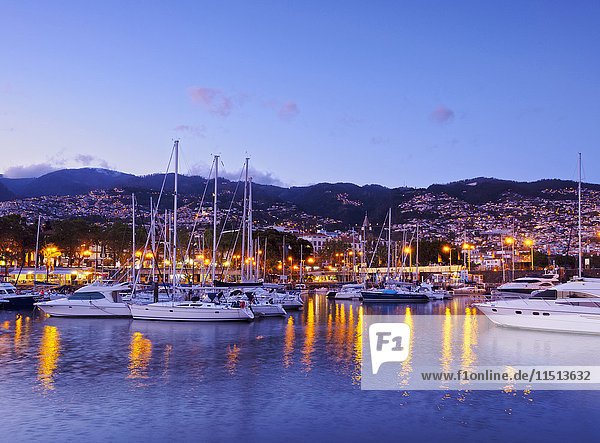 Blick auf den Yachthafen von Funchal in der Dämmerung  Funchal  Madeira  Portugal  Atlantik  Europa