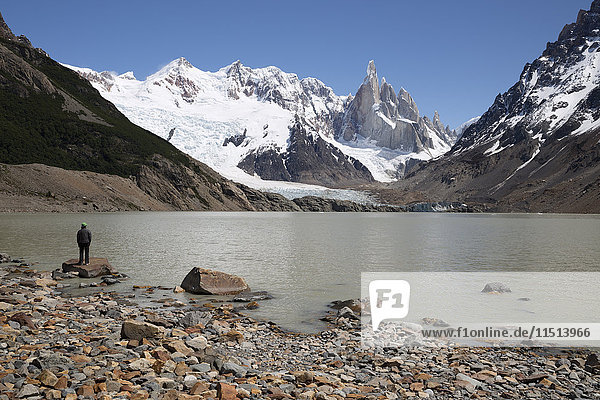 Laguna Torre with view of Cerro Torre and Glaciar Grande  El Chalten  Patagonia  Argentina  South America