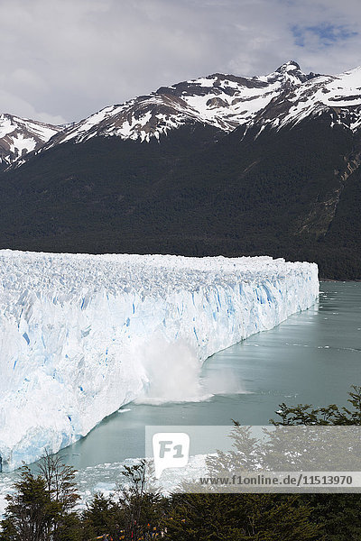 Perito Moreno Glacier on Lago Argentino  El Calafate  Parque Nacional Los Glaciares  UNESCO World Heritage Site  Patagonia  Argentina  South America