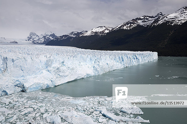 Perito Moreno Glacier on Lago Argentino  El Calafate  Parque Nacional Los Glaciares  UNESCO World Heritage Site  Patagonia  Argentina  South America