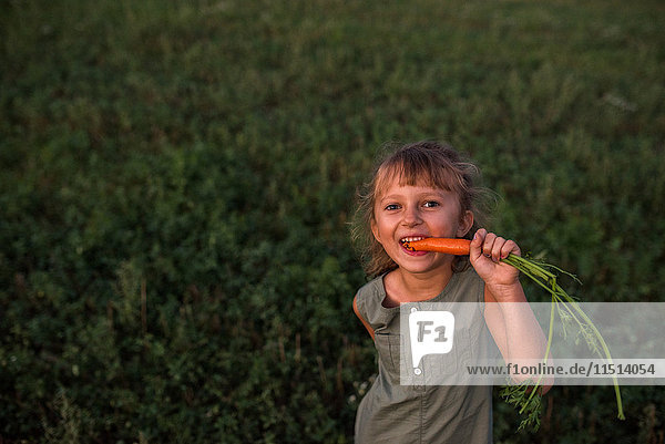 Porträt eines jungen Mädchens  das frisch gepflückte Karotten isst