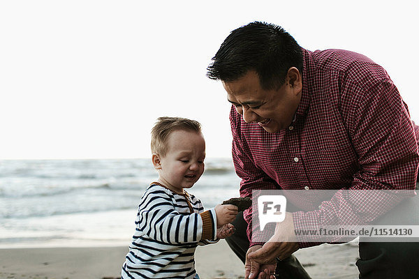 Father on beach with baby boy looking at rock