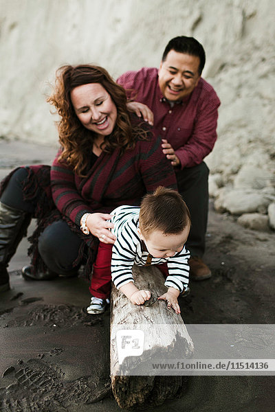 Family with baby boy sitting on driftwood on beach