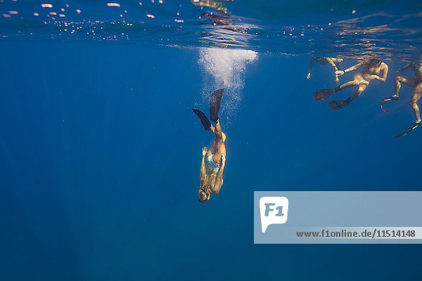 Women wearing flippers swimming underwater  Oahu  Hawaii  USA