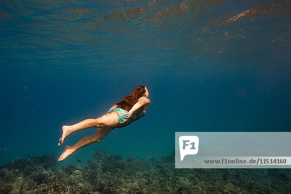 Frau schwimmt unter Wasser Oahu Hawaii USA