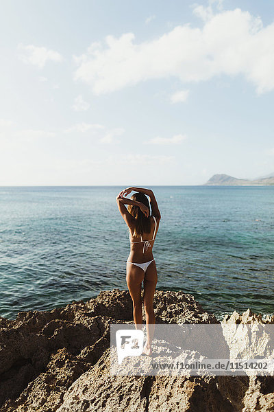 Rückansicht einer Frau im Bikini mit Blick auf das Meer  Oahu  Hawaii  USA