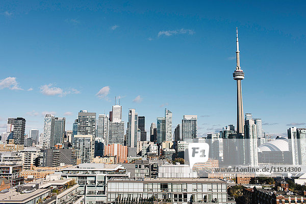 Skyline von Toronto mit dem CN-Turm  Toronto  Ontario  Kanada