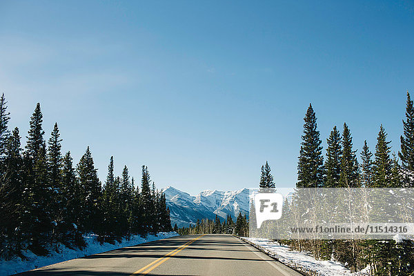 Leere Straße,  Rocky Mountains,  Canmore,  Alberta,  Kanada
