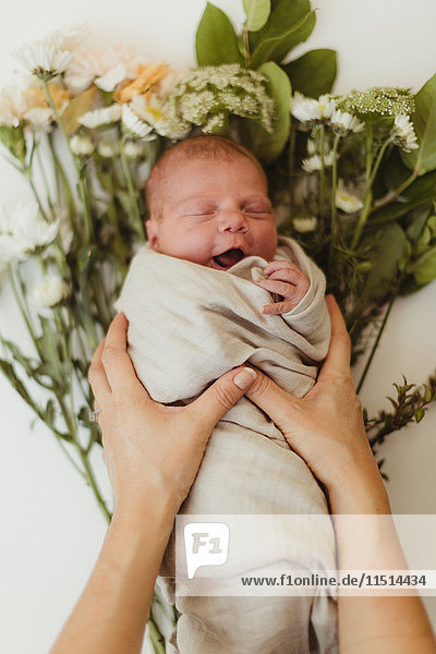 Frauenhände legen neugeborene Tochter in Windeln auf Blumen