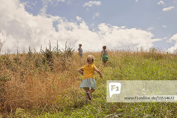 Three young children exploring  outdoors