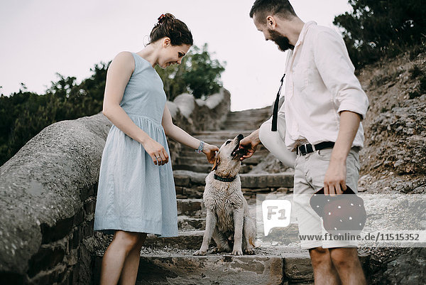 Kaukasisches Paar spielt mit Hund auf Steintreppe