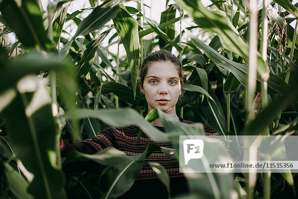 Caucasian woman standing in tall corn field