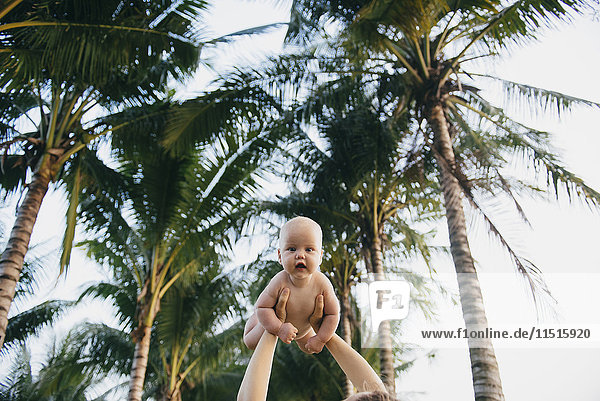 Caucasian mother lifting baby daughter under palm tree