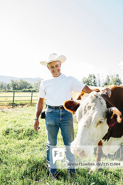 Caucasian farmer petting cow